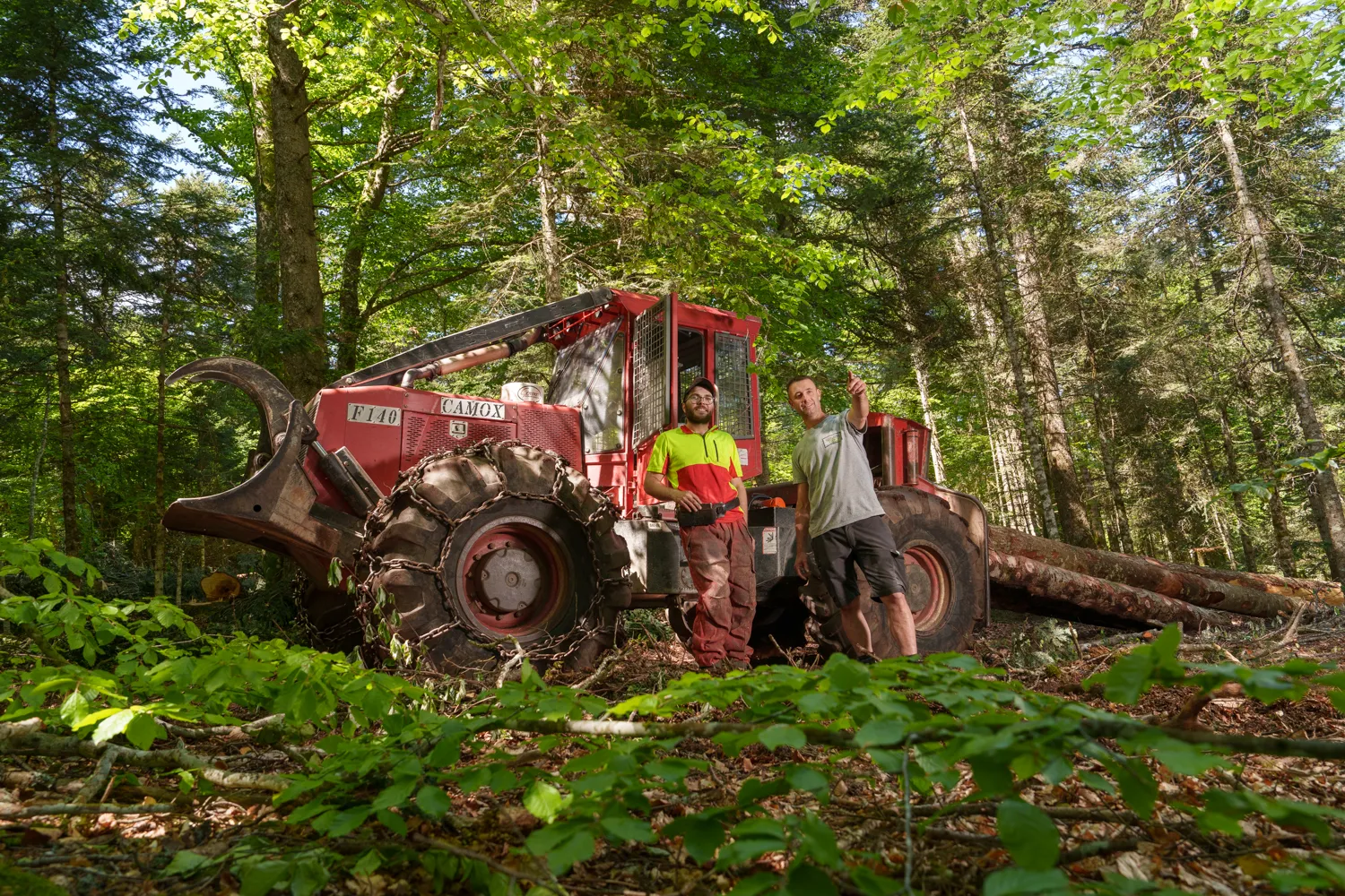 De la grume au produit fini, une maîtrise complète de la filière bois.